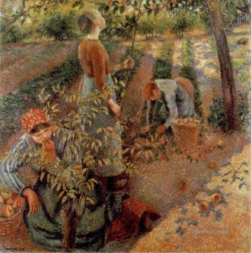 Los recolectores de manzanas 1886 Camille Pissarro Pinturas al óleo